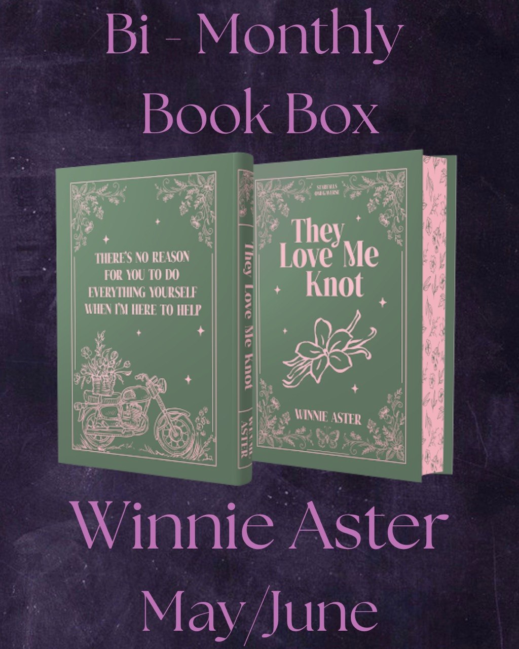 Winnie Aster Book Box Pre Order - Image 4