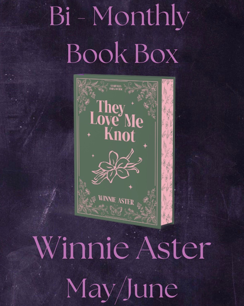Winnie Aster Book Box Pre Order - Image 2